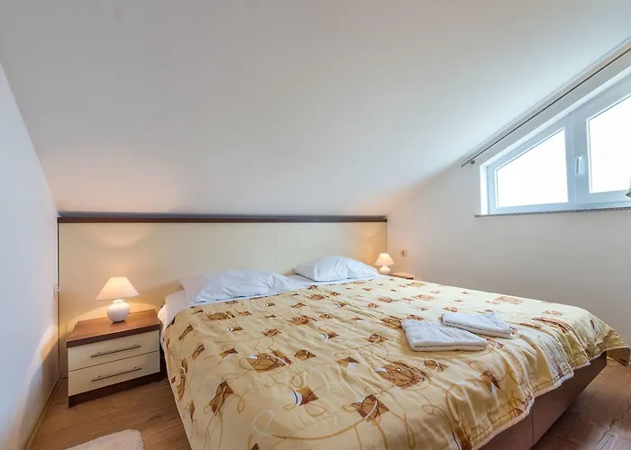 Apartments Andelo * Vlasici